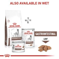 Royal Canin Veterinary Diet Canine Gastrointestinal Dry Dog Food - 15kg 17 Royal Canin Veterinary Diet Canine Gastrointestinal Dry Dog Food - 15kg -Hills || ROYAL CANIN Sales Royal Canin Canine Gastro Intestinal Dry Dog Food 15Kg vetshop 8
