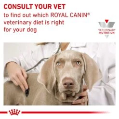 Royal Canin Veterinary Diet Canine Hepatic Wet Dog Food - 12 X 420G 16 Royal Canin Veterinary Diet Canine Hepatic Wet Dog Food - 12 X 420G -Hills || ROYAL CANIN Sales Royal Canin Canine Hepatic Wet Dog Food 12 x 420G vetshop 7