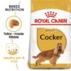 Royal Canin Adult Cocker Dry Dog Food - 12kg 1 Royal Canin Adult Cocker Dry Dog Food - 12kg -Hills || ROYAL CANIN Sales Royal Canin Cocker Dry Dog Food 12kg vetshop 1