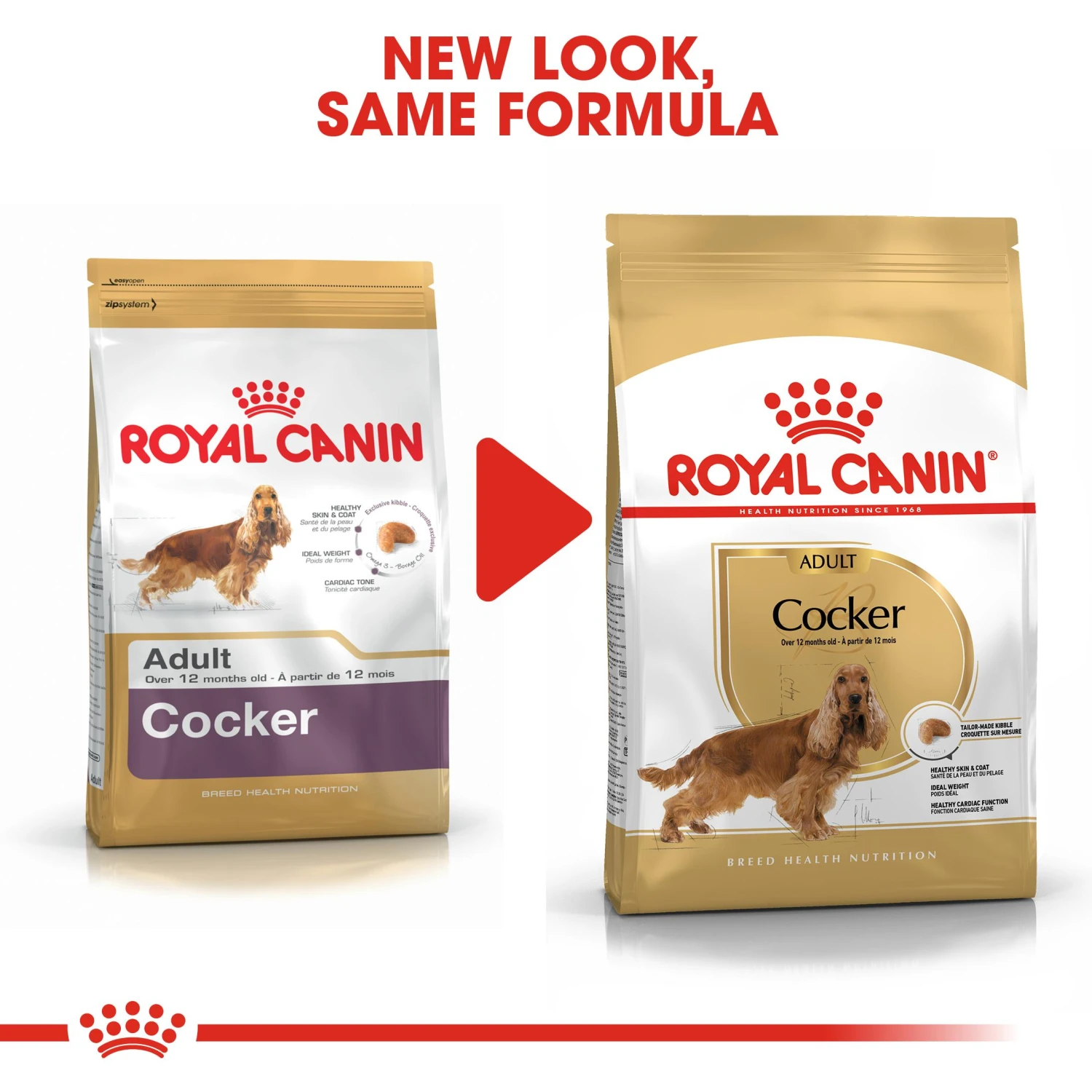 Royal Canin Adult Cocker Dry Dog Food - 12kg 8 Royal Canin Adult Cocker Dry Dog Food - 12kg - Image 6