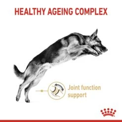 Royal Canin German Shepherd Adult 5+ Dry Dog Food - 12kg 10 Royal Canin German Shepherd Adult 5+ Dry Dog Food - 12kg -Hills || ROYAL CANIN Sales Royal Canin German Shepherd Adult 5 Dry Dog Food 12kg vetshop 3