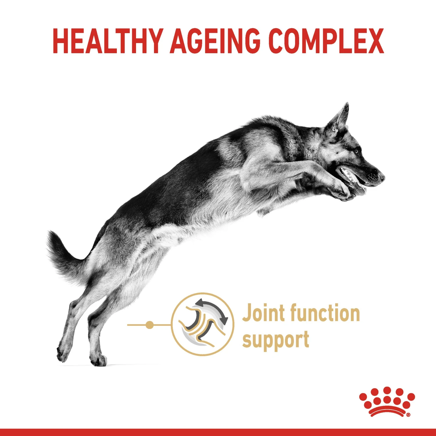 Royal Canin German Shepherd Adult 5+ Dry Dog Food - 12kg 5 Royal Canin German Shepherd Adult 5+ Dry Dog Food - 12kg - Image 3