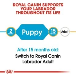 Royal Canin Puppy Labrador Retriever Dry Dog Food - 12kg -Hills || ROYAL CANIN Sales Royal Canin Labrador Retriever Dry Puppy Food 12kg vetshop 2