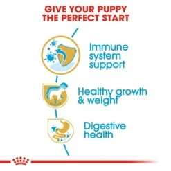 Royal Canin Puppy Labrador Retriever Dry Dog Food - 12kg -Hills || ROYAL CANIN Sales Royal Canin Labrador Retriever Dry Puppy Food 12kg vetshop 4