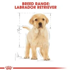 Royal Canin Puppy Labrador Retriever Dry Dog Food - 12kg -Hills || ROYAL CANIN Sales Royal Canin Labrador Retriever Dry Puppy Food 12kg vetshop 5
