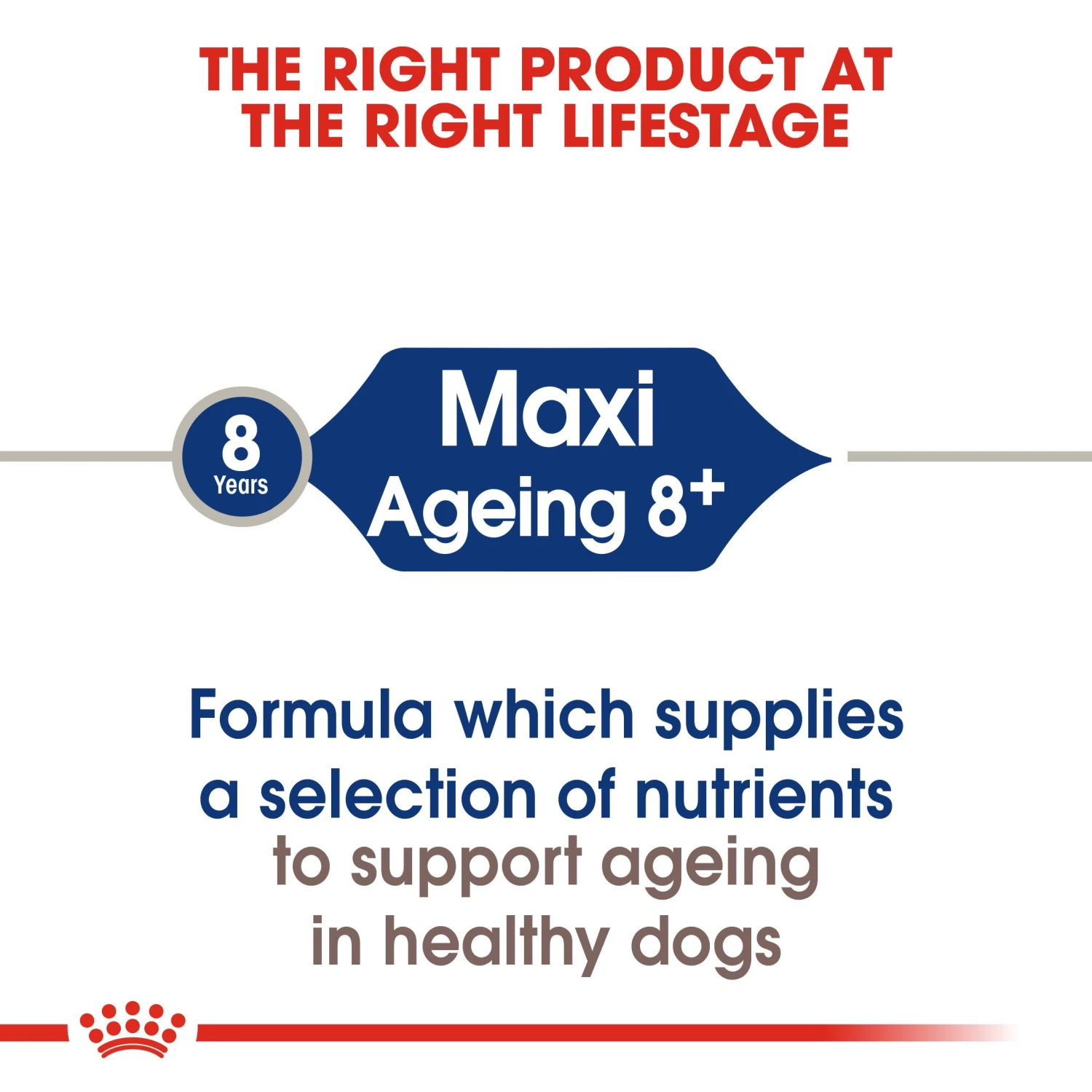 Royal Canin Canine Maxi Ageing 8+ Dry Dog Food - 3 Kg 5 Royal Canin Canine Maxi Ageing 8+ Dry Dog Food - 3 Kg - Image 3