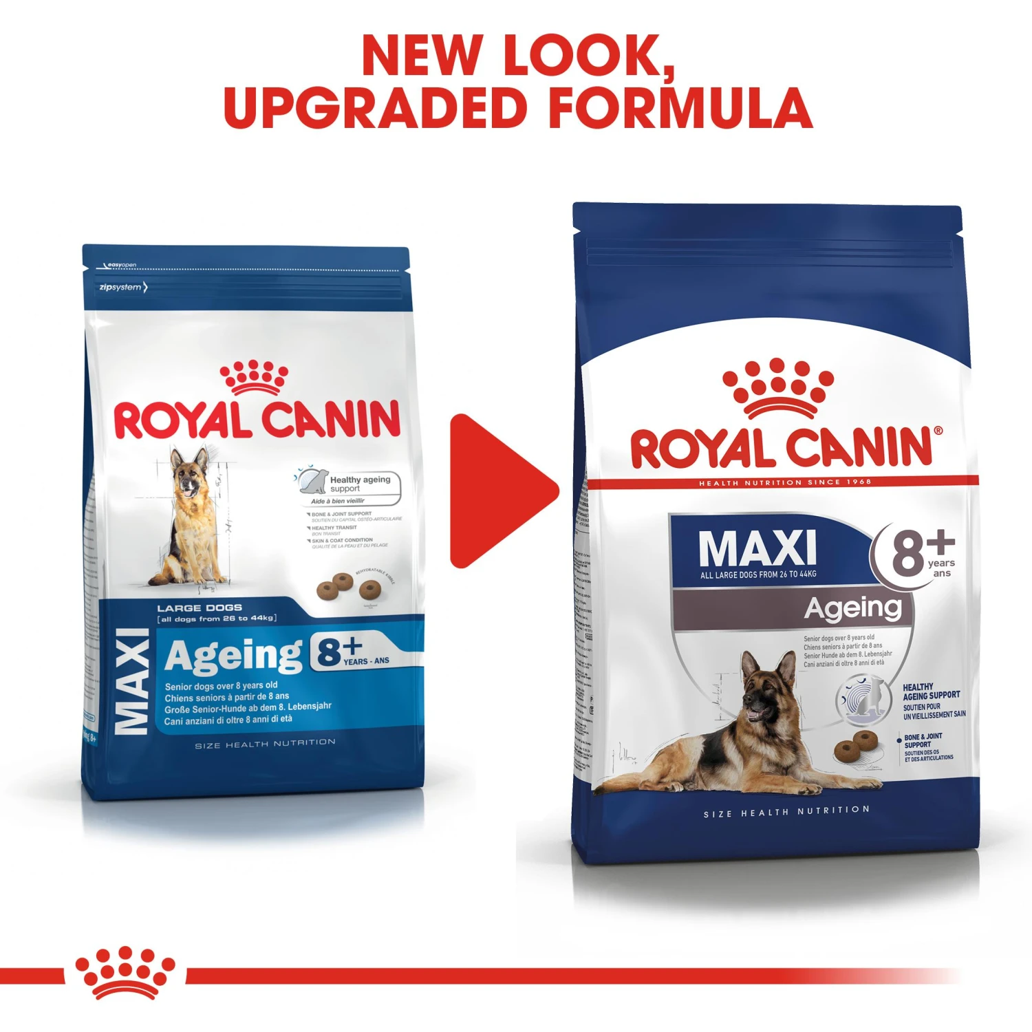 Royal Canin Canine Maxi Ageing 8+ Dry Dog Food - 3 Kg 9 Royal Canin Canine Maxi Ageing 8+ Dry Dog Food - 3 Kg - Image 7
