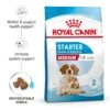 Royal Canin Medium Starter Mother And Baby Dry Adult & Puppy Dog Food - 4kg 1 Royal Canin Medium Starter Mother And Baby Dry Adult & Puppy Dog Food - 4kg -Hills || ROYAL CANIN Sales Royal Canin Medium Starter Mother Baby Dog 4kg vetshop 1