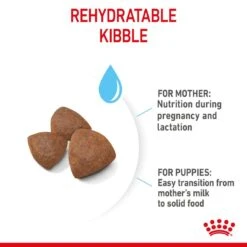 Royal Canin Medium Starter Mother And Baby Dry Adult & Puppy Dog Food - 4kg 15 Royal Canin Medium Starter Mother And Baby Dry Adult & Puppy Dog Food - 4kg -Hills || ROYAL CANIN Sales Royal Canin Medium Starter Mother Baby Dog 4kg vetshop 5