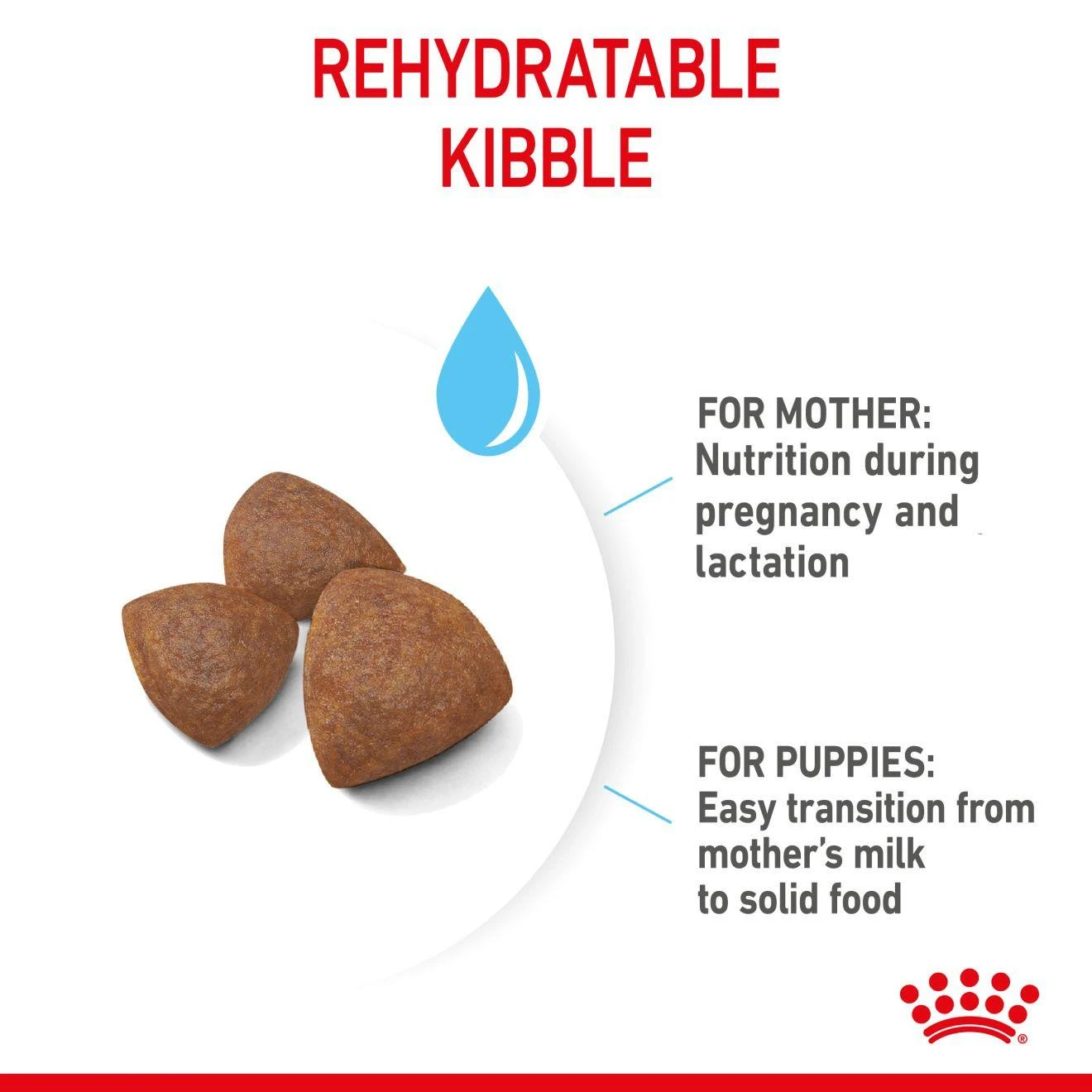Royal Canin Medium Starter Mother And Baby Dry Adult & Puppy Dog Food - 4kg 7 Royal Canin Medium Starter Mother And Baby Dry Adult & Puppy Dog Food - 4kg - Image 5
