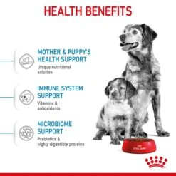 Royal Canin Medium Starter Mother And Baby Dry Adult & Puppy Dog Food - 4kg 16 Royal Canin Medium Starter Mother And Baby Dry Adult & Puppy Dog Food - 4kg -Hills || ROYAL CANIN Sales Royal Canin Medium Starter Mother Baby Dog 4kg vetshop 6