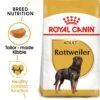 Royal Canin Rottweiler Adult Dry Dog Food - 12kg 2 Royal Canin Rottweiler Adult Dry Dog Food - 12kg -Hills || ROYAL CANIN Sales Royal Canin Rottweiler Dry Dog Food 12kg vetshop 1