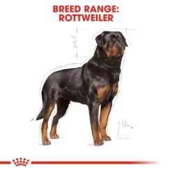 Royal Canin Rottweiler Adult Dry Dog Food - 12kg 10 Royal Canin Rottweiler Adult Dry Dog Food - 12kg -Hills || ROYAL CANIN Sales Royal Canin Rottweiler Dry Dog Food 12kg vetshop 2