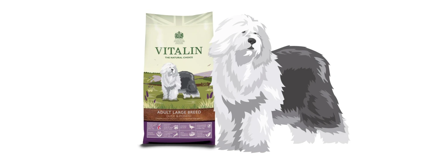 Vitalin Natural Grain Free Duck & Potato Dry Dog Food - 12Kg 5 Vitalin Natural Grain Free Duck & Potato Dry Dog Food - 12Kg - Image 3