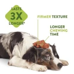 Whimzees Medium Alligator Dog Chew - Box Of 75 -Hills || ROYAL CANIN Sales Whimzees Large Alligator Dog Chew Box of 60 vetshop 3